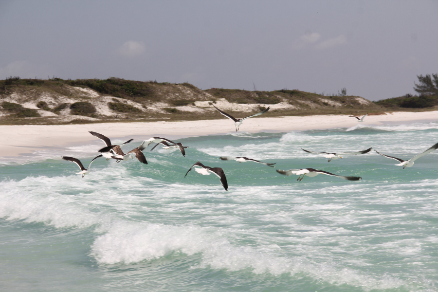 Arraial do Cabo